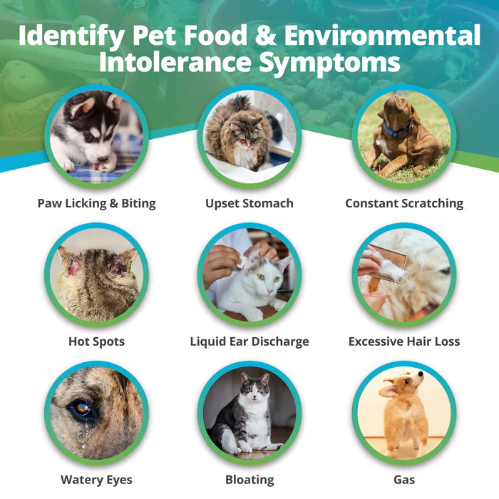 PET FOOD & ENVIRONMENTAL INTOLERANCE TESTING KIT