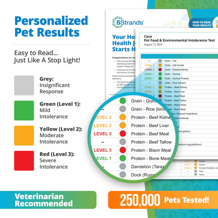 PET FOOD & ENVIRONMENTAL INTOLERANCE TESTING KIT