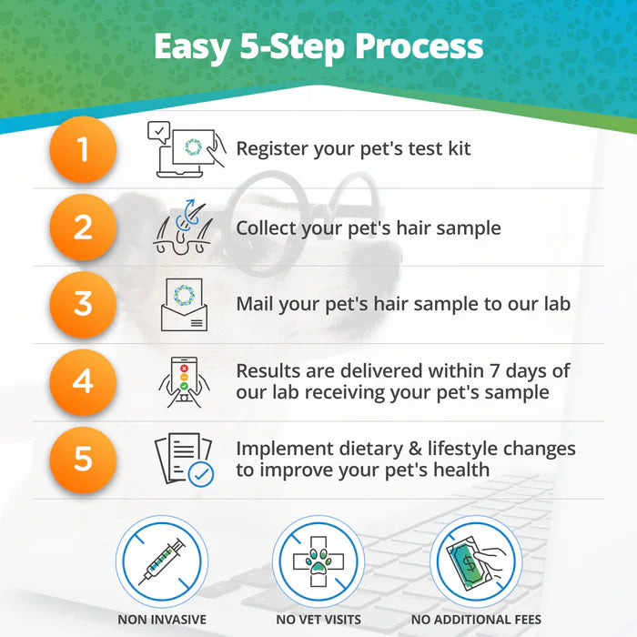 PET FOOD & ENVIRONMENTAL INTOLERANCE TESTING KIT