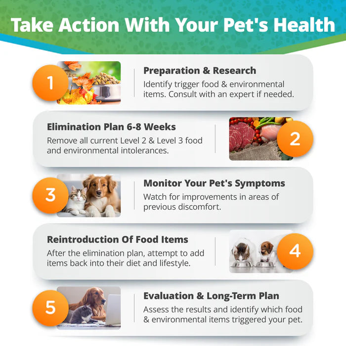 PET FOOD & ENVIRONMENTAL INTOLERANCE TESTING KIT