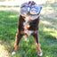 KONG TOUGHZ BUNNY DOG TOY