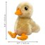 KONG TOUGHZ DUCK DOG TOY