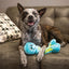 KONG WUBBA OCTOPUS ASSORTED COLOURS DOG TOY