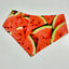 BANDANAS : REVERSIBLE - SUMMER/SPRING COLLECTION