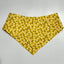 BANDANAS : REVERSIBLE - SUMMER/SPRING COLLECTION