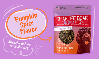 CHARLEE BEAR CRUNCH GRAIN FREE PUMPKIN SPICE FLAVOUR