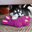 KONG SNUZZLES BUNNY DOG TOY - MEDIUM