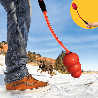 KONG SIGNATURE THROW DOG TOY
