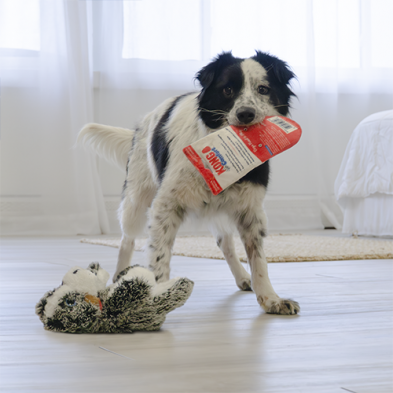 KONG COMFORT PUPS OZZIE DOG TOY MEDIUM