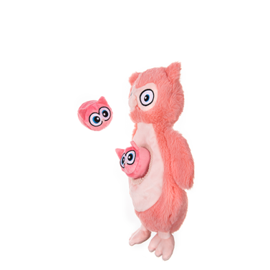 GROWL™ SIDEKICKS HOOT & HOOLET DOG TOY