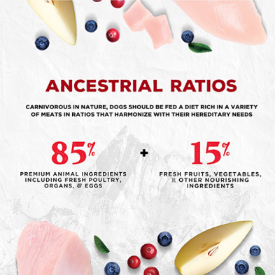 COEVO™ THE HINTERLANDS VALLEY FARMS FREEZE DRIED RAW FOOD FOR DOGS - CHICKEN, TURKEY AND DUCK RECIPE