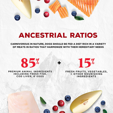 COEVO™ THE HINTERLANDS WILD SHORES FREEZE DRIED RAW FOOD FOR DOGS - SALMON, TROUT AND HERRING RECIPE