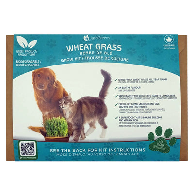 UGROGREENS- Wheat Grass - Grow Kit