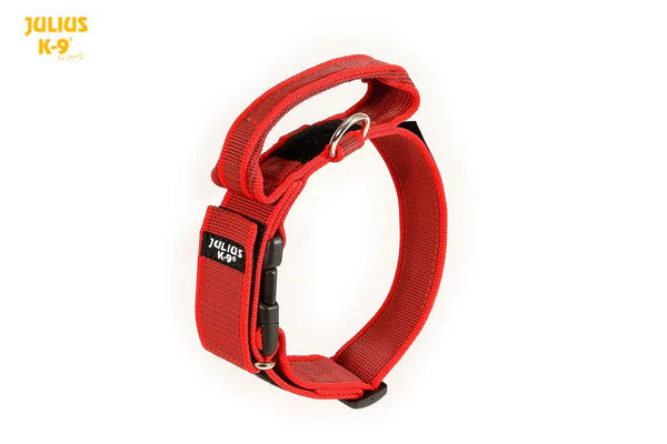 Julius k9 store collar