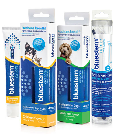 BLUESTEM ORAL CARE: TOOTHBRUSH & TOOTHPASTE PACK