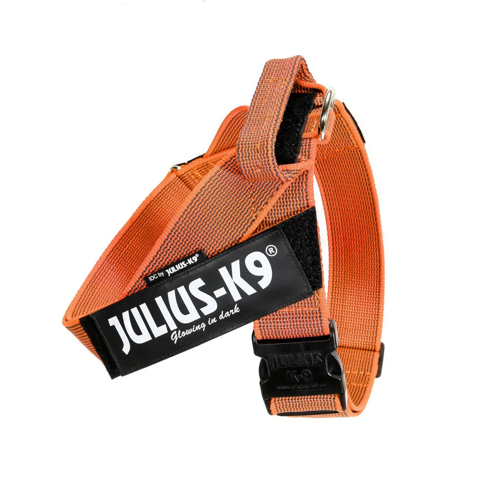 JULIUS-K9 IDC® BELT HARNESS