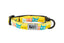 RC PETS PRIMARY KITTY BREAKWAY COLLAR FOR CATS- PATTERN