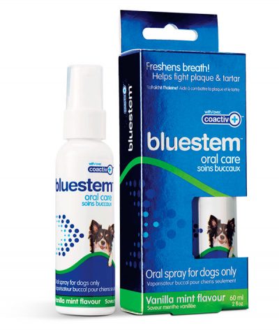 BLUESTEM ORAL CARE ORAL SPRAY: VANILLA MINT FLAVOR