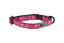 RC PETS PRIMARY KITTY BREAKWAY COLLAR FOR CATS- PATTERN
