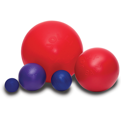JOLLY PETS© PUSH-N-PLAY ASSORTED BALL