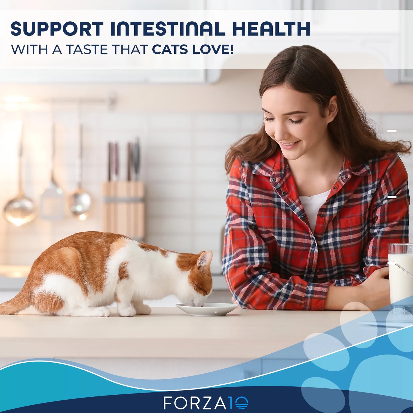 FORZA10 NUTRACEUTIC ACTIVE INTESTINAL SUPPORT DIET DRY CAT FOOD