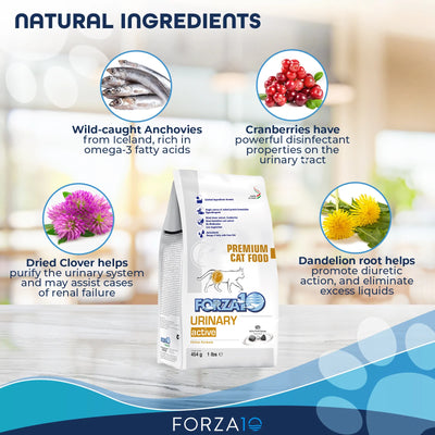 FORZA10 NUTRACEUTIC ACTIVE URINARY DRY CAT FOOD