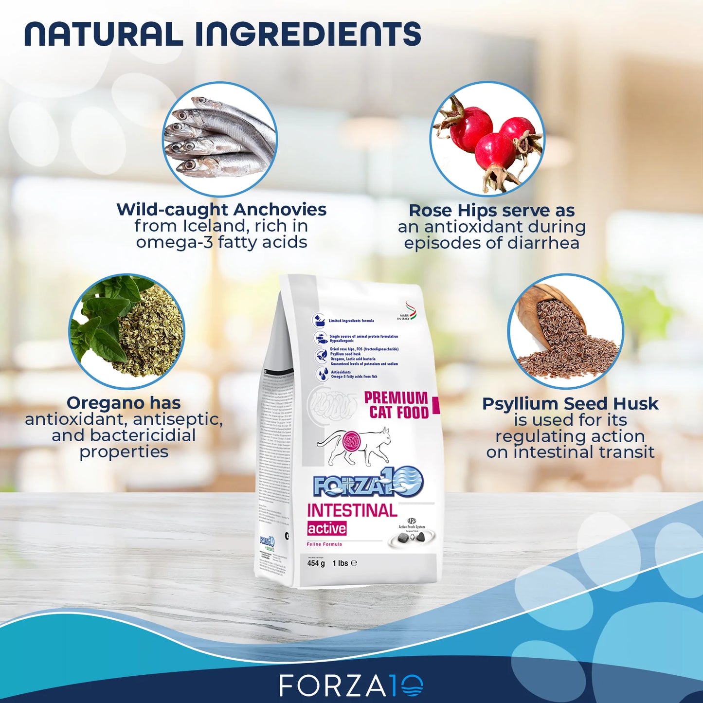 FORZA10 NUTRACEUTIC ACTIVE INTESTINAL SUPPORT DIET DRY CAT FOOD