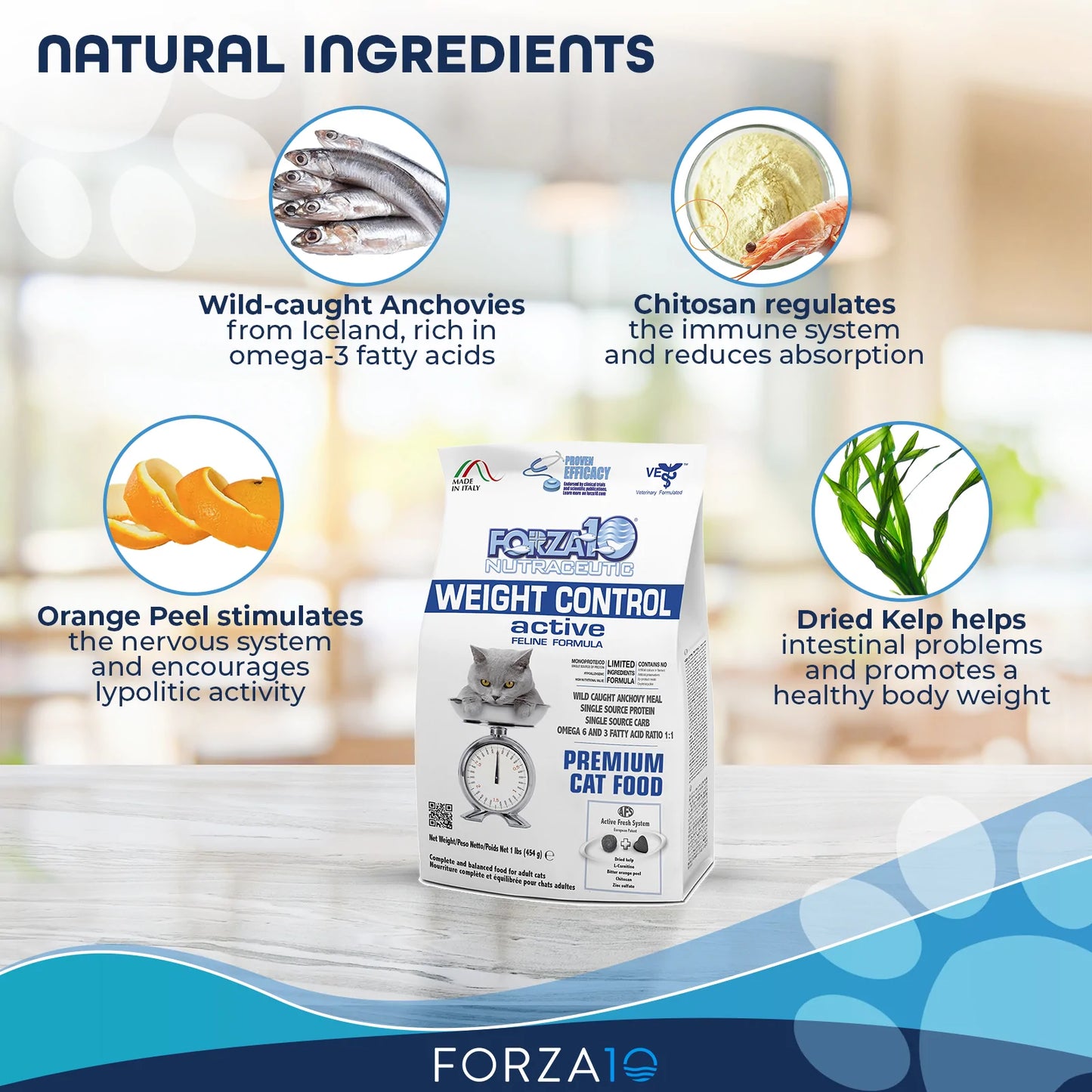 FORZA10 NUTRACEUTIC ACTIVE WEIGHT CONTROL DIET DRY CAT FOOD