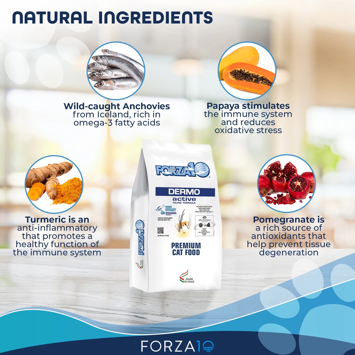 FORZA10 NUTRACEUTIC ACTIVE DERMO DRY CAT FOOD