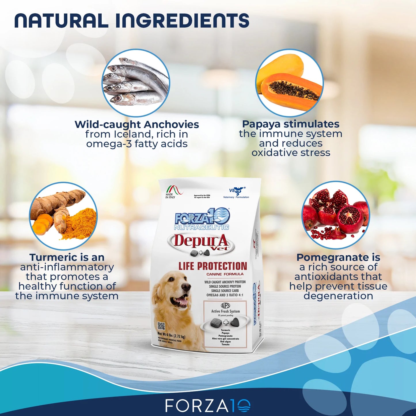 FORZA10 NUTRACEUTIC ACTIVE DEPURA FISH DIET DRY DOG FOOD