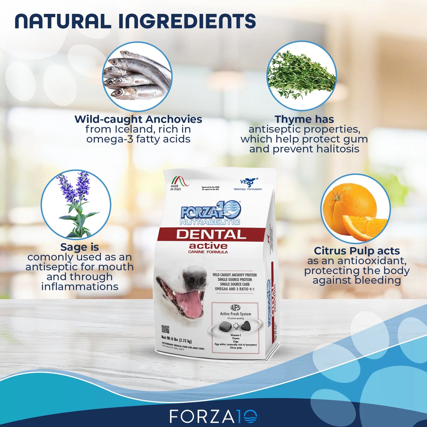 FORZA10 NUTRACEUTIC ACTIVE LINE ORAL SUPPORT DIET DRY DOG FOOD