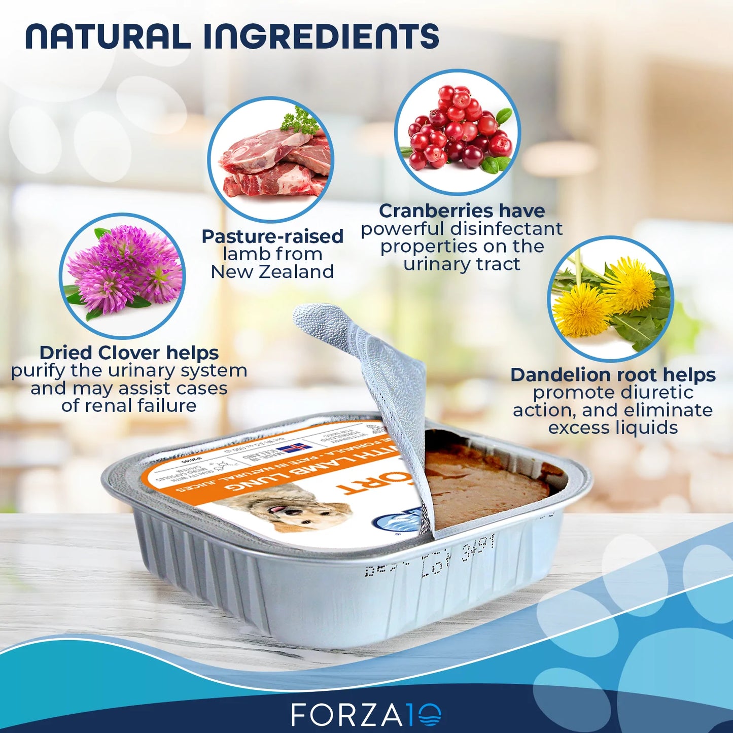 FORZA10 NUTRACEUTIC ACTIWET RENAL SUPPORT WET DOG FOOD