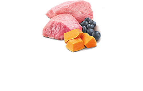 FARMINA N&D PUMPKIN - LAMB, PUMPKIN & BLUEBERRY WET CAT FOOD