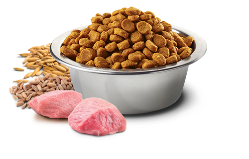 FARMINA N&D ANCESTRAL GRAIN - CHICKEN & POMEGRANATE SENIOR MINI BREED