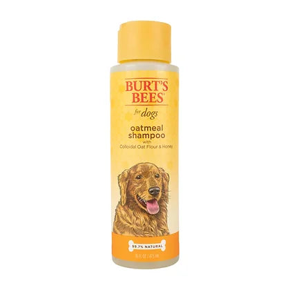 BURT’S BEES OATMEAL SHAMPOO WITH COLLOIDAL OAT FLOUR & HONEY