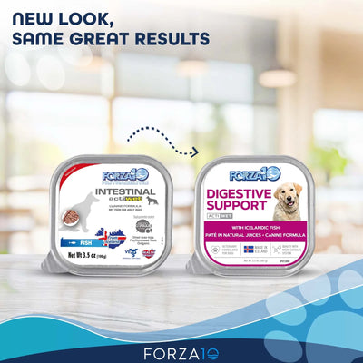 FORZA10 NUTRACEUTIC ACTIWET DIGESTIVE SUPPORT ICELANDIC FISH RECIPE CANNED DOG FOOD