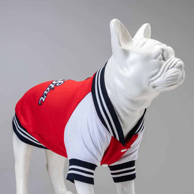 LINDO CLOTHING COLLEGE SWEATSHIRT : ALL STAR