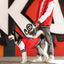 LINDO CLOTHING COLLEGE SWEATSHIRT : ALL STAR