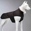 LINDO CLOTHING LUXURY PLUS DOG COAT : BLACK