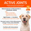 SQUARE PET VFS® ACTIVE JOINTS DRY DOG FOOD