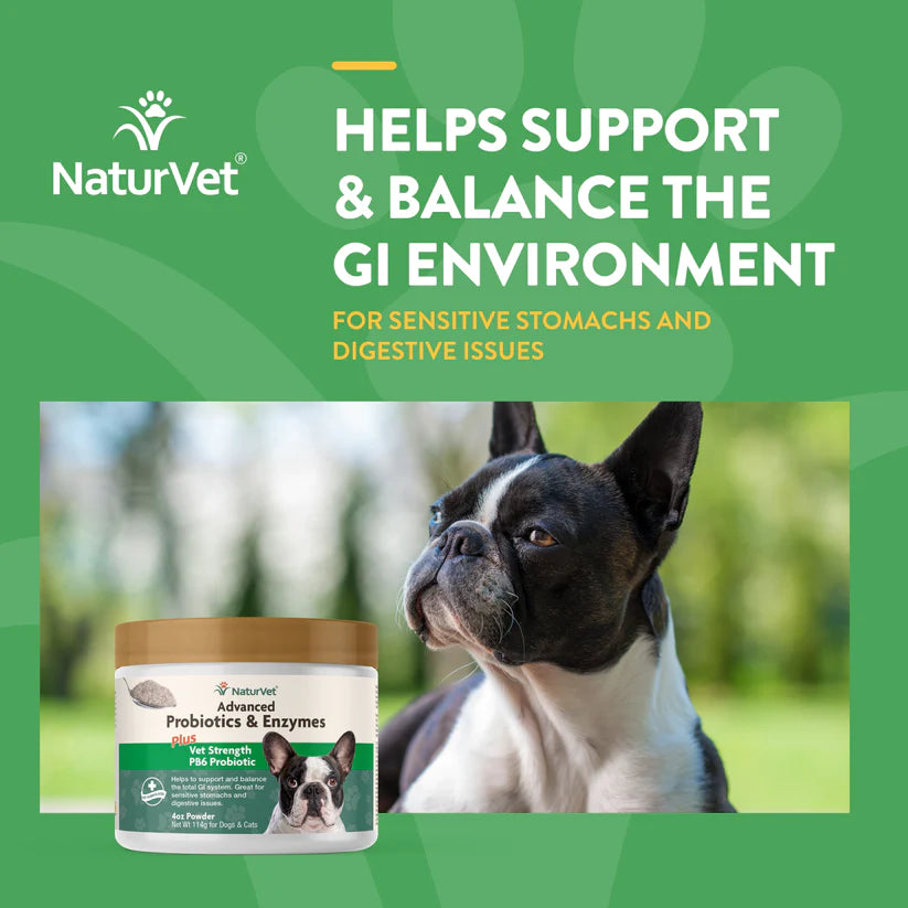 Naturvet advanced best sale probiotics & enzymes