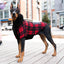 CANADA POOCH COOL FACTOR HOODIE : RED PLAID