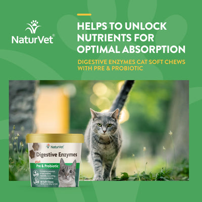 NATURVET® DIGESTIVE ENZYMES WITH PREBIOTICS & PROBIOTICS SOFT CHEWS FOR CATS (60 CT)