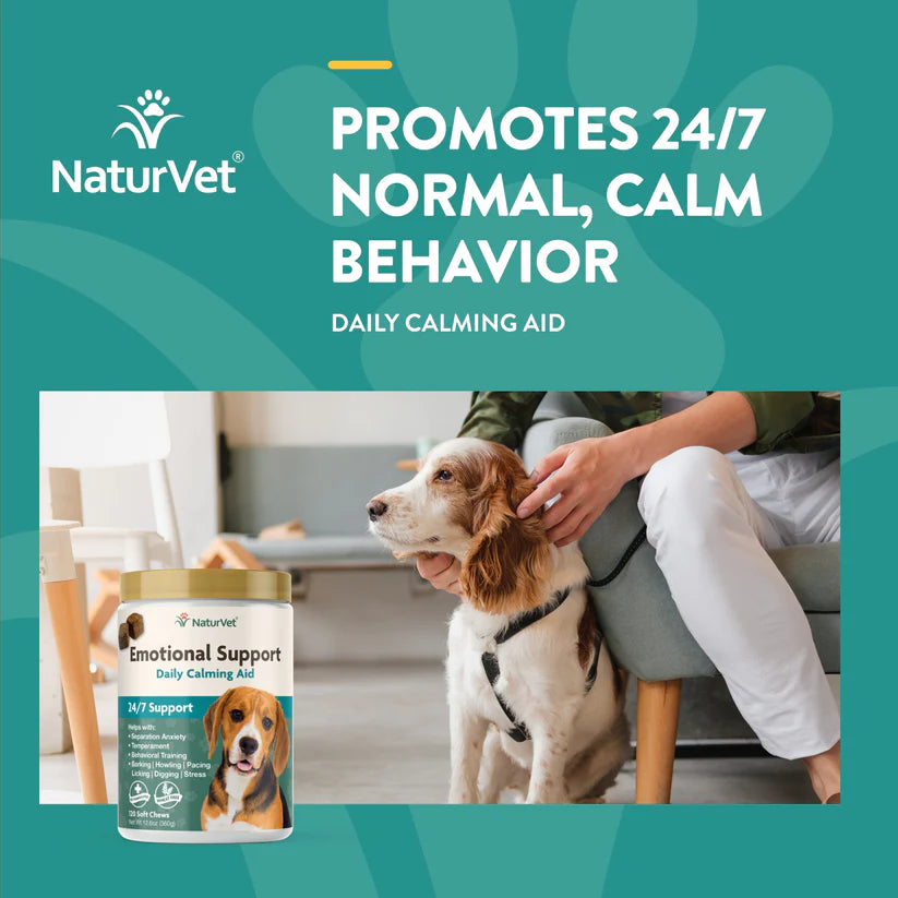 Dog hot sale calming powder