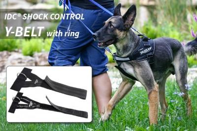 JULIUS-K9 IDC® FRONT RING - CONTROL Y BELT WITH FRONT RING
