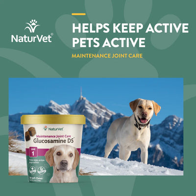 NATURVET® GLUCOSAMINE DS™ SOFT CHEWS (70 CT)