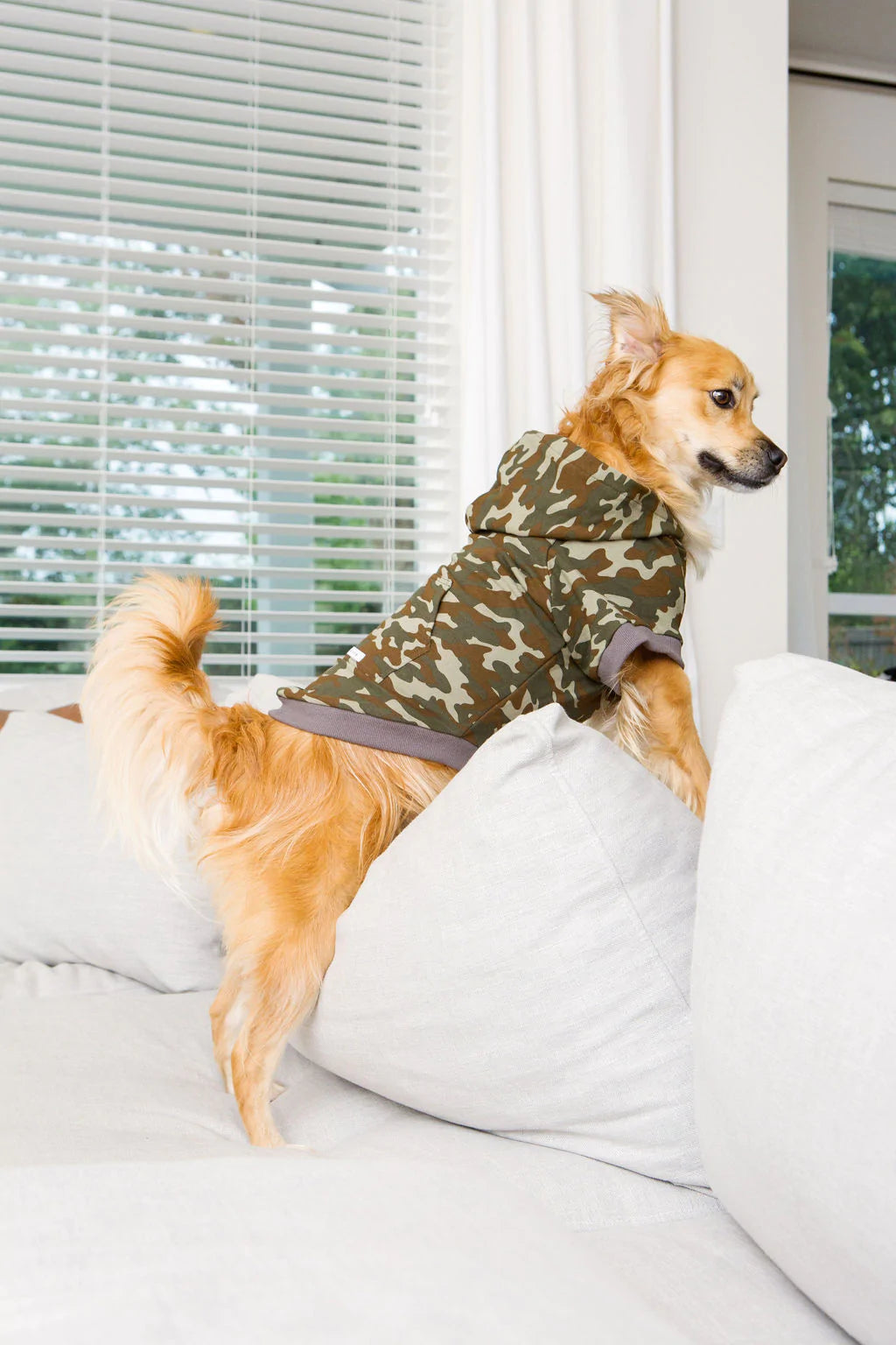 SHARPER BARKER FRENCH TERRY HOODIES RILEY : GREEN CAMO