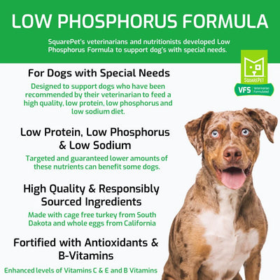 SQUARE PET VFS® LOW PHOSPHORUS SUPPORT DRY DOG FOOD