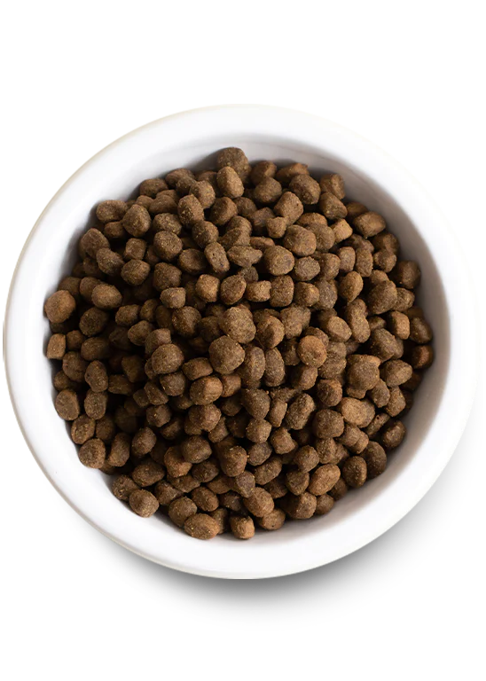 OPEN FARM® WHITEFISH & ANCIENT GRAINS DRY DOG FOOD