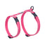 RC PETS PRIMARY KITTY HARNESS FOR CATS